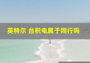 英特尔 台积电属于同行吗